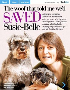 1621902_740294529321845_1132256204_n