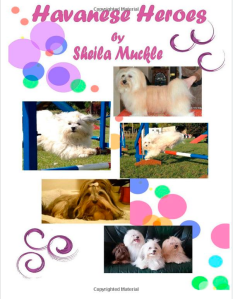 havanese heroes