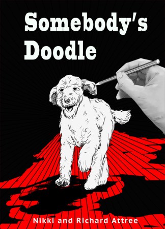 somebody's doodle kindle fc