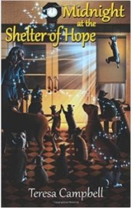 midnight shelter hope