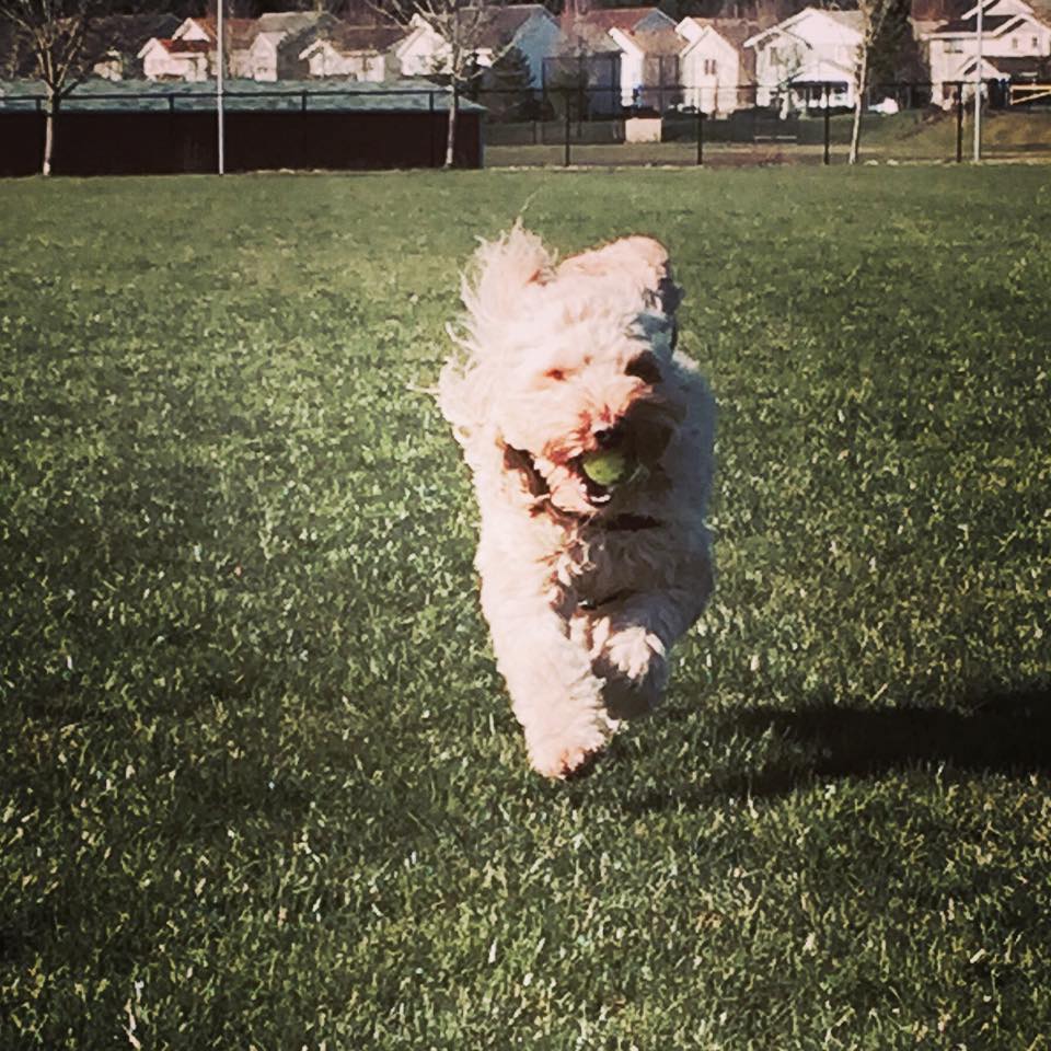 Kelly Conner Saunders