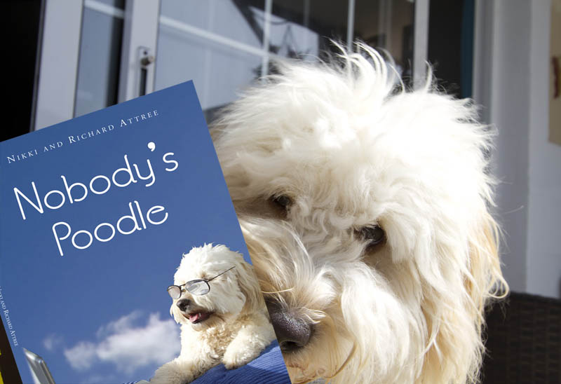 Nobody’s Poodle Free to&nbsp;download!
