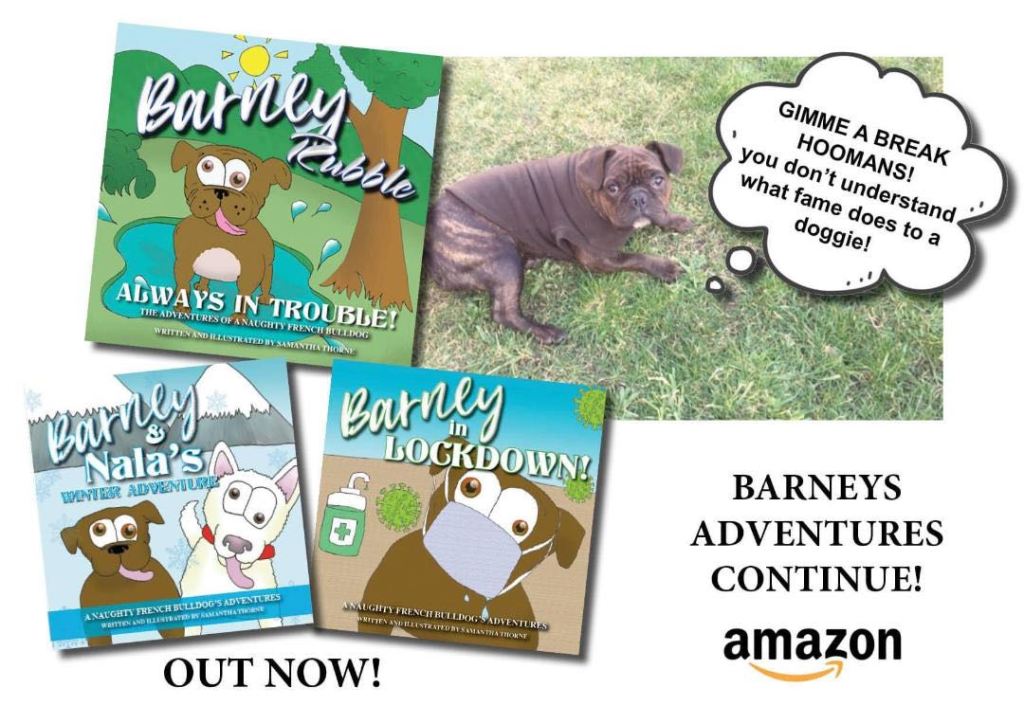 Interview with the author of the Barney&nbsp;Series