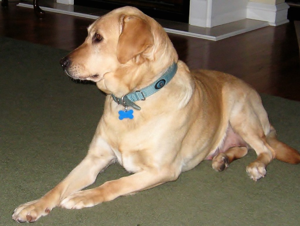 Charlotte learns to relax