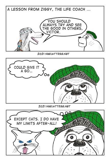 A lesson from&nbsp;Ziggy