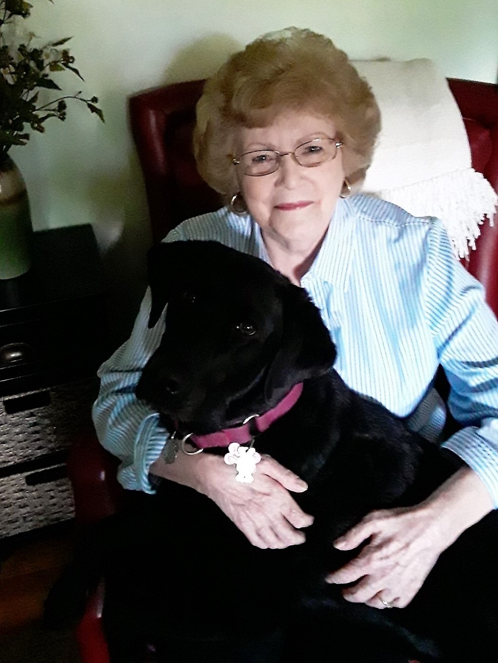 Wooftastic Books interviews Judith Harch&nbsp;…