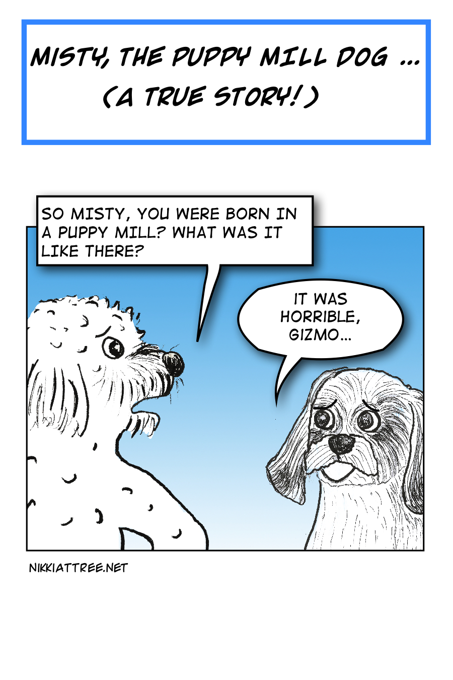 Misty, The Puppy Mill Dog (A True Story!)