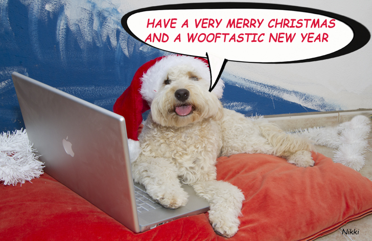 A Dog is for Life (a Xmas story)&nbsp;…